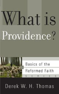 portada what is providence?