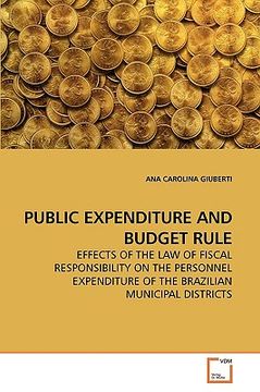 portada public expenditure and budget rule (en Inglés)