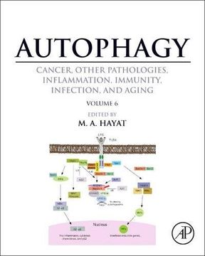 portada Autophagy: Cancer, Other Pathologies, Inflammation, Immunity, Infection, and Aging: Volume 6- Regulation of Autophagy and Selective Autophagy