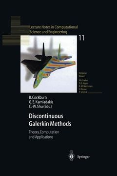 portada discontinuous galerkin methods: theory, computation and applications (en Inglés)