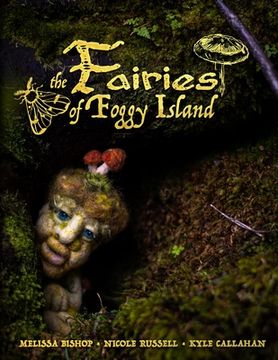 portada Fairies of Foggy Island