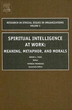 portada spiritual intelligence at work: meaning, metaphor, and morals (in English)
