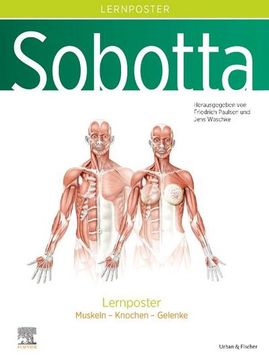 portada Sobotta Lernposter Anatomie (in German)