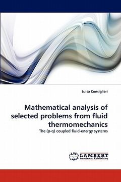 portada mathematical analysis of selected problems from fluid thermomechanics (in English)