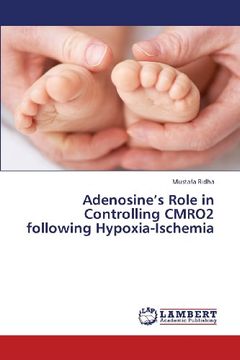 portada Adenosine's Role in Controlling Cmro2 Following Hypoxia-Ischemia