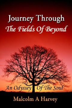 portada journey through the fields of beyond: an odyssey of the soul
