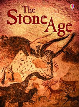 portada Stone age (Beginners Series) (in French)