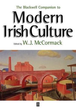 portada modern irish culture (en Inglés)