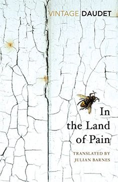 portada In the Land of Pain (Vintage Classics) (en Inglés)