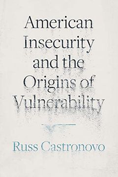portada American Insecurity and the Origins of Vulnerability (in English)