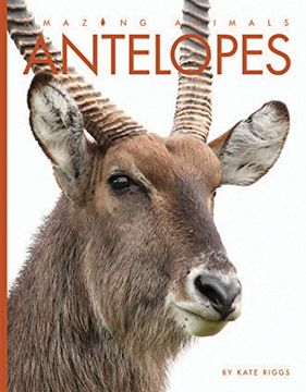 portada Antelopes (en Inglés)