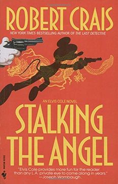 portada Stalking the Angel
