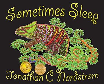 portada Sometimes Sleep (en Inglés)