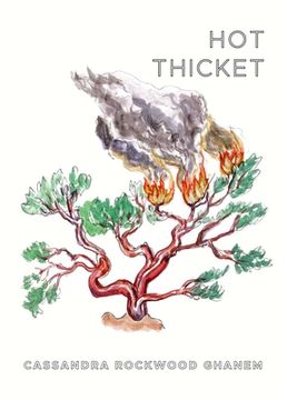 portada Hot Thicket (en Inglés)