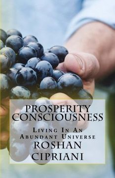 portada Prosperity Consciousness: Living In An Abundant Universe: Volume 1 (Personal Biblical Economics)