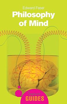 portada Philosophy of Mind (a Beginner's Guide) (en Inglés)