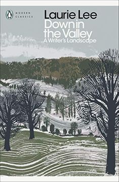 portada Down in the Valley: A Writer'S Landscape (Penguin Modern Classics) 
