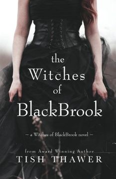 portada The Witches of BlackBrook (Volume 1) (in English)
