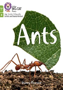 portada Ants: Phase 4 set 2 (Big cat Phonics for Little Wandle Letters and Sounds Revised – age 7+) 