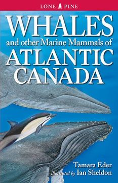 portada Whales and Other Marine Mammals of Atlantic Canada (en Inglés)