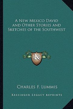 portada a new mexico david and other stories and sketches of the southwest (in English)