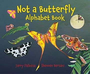 portada Not a Butterfly Alphabet Book: It's About Time Moths had Their own Book! 