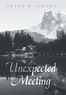 portada Unexpected Meeting (in English)