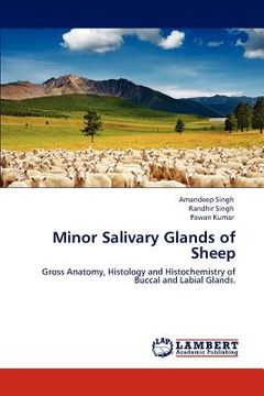 portada minor salivary glands of sheep (en Inglés)