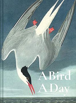 portada A Bird a Day (in English)