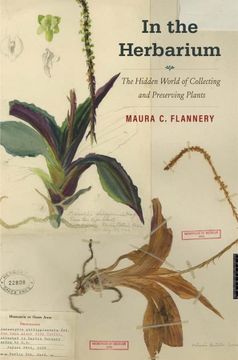 portada In the Herbarium: The Hidden World of Collecting and Preserving Plants (en Inglés)