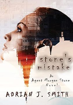 portada Stone'S Mistake (in English)