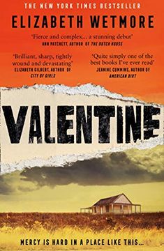 portada Valentine: A Stunning Debut and a new York Times Bestseller (en Inglés)