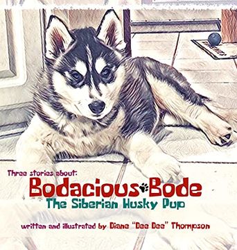portada Bodacious Bode - the Siberian Husky pup (1) 