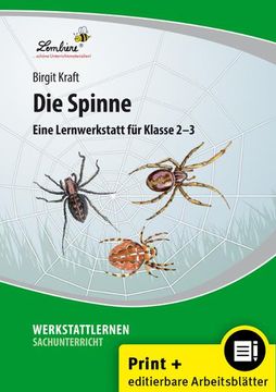 portada Die Spinne (en Alemán)