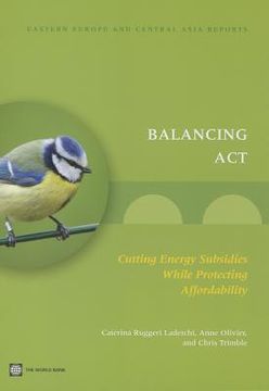 portada balancing act: cutting energy subsidies while protecting affordability (en Inglés)