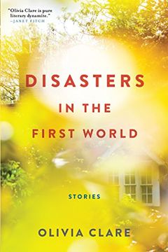 portada Disasters in the First World: Stories