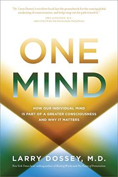 portada One Mind: How our Individual Mind is Part of a Greater Consciousness and why it Matters (in English)