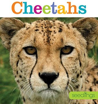 portada Seedlings: Cheetahs