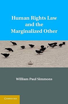 portada Human Rights law and the Marginalized Other 