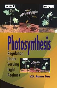 portada Photosynthesis: Regulation Under Varying Light Regimes