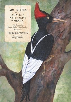 portada Adventures of an Amateur Naturalist in Mexico: The Imperial Ivory-billed Woodpecker, Revisited