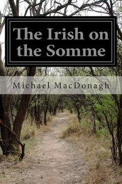 portada The Irish on the Somme (en Inglés)