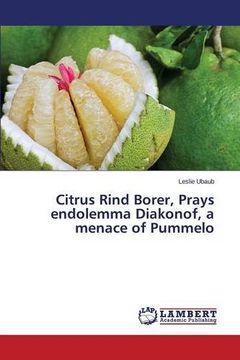 portada Citrus Rind Borer, Prays endolemma Diakonof, a menace of Pummelo