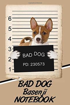 portada Bad dog Basenji Not 