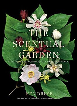 portada The Scentual Garden: Exploring the World of Botanical Fragrance (in English)