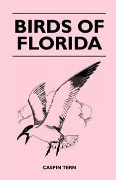 portada birds of florida (en Inglés)