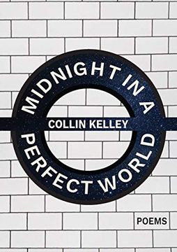 portada Midnight in a Perfect World (in English)