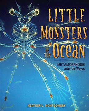 portada Little Monsters of the Ocean: Metamorphosis Under the Waves 