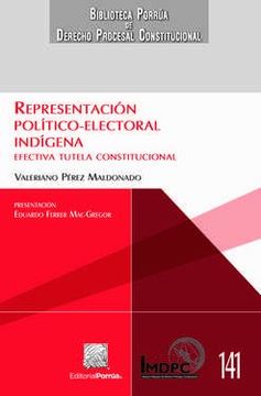 portada Representación Político-Electoral Indígena (in Spanish)