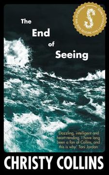 portada The End of Seeing (en Inglés)